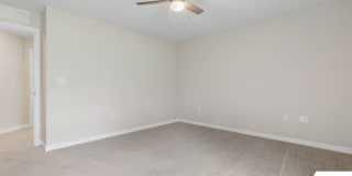 17 Seville Orange Path Gallery 17