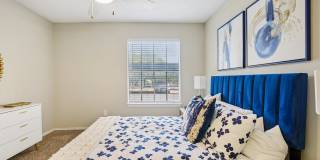 The Sonata Gallery 10