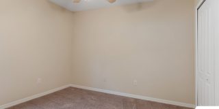 13 Zinnia Trail Gallery 28