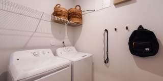 Oasis at Heritage Gallery 31