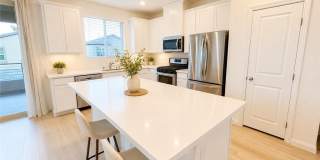 1482 Upland Sandpiper Street Gallery 22