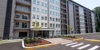 Verona at Naylor Metro Gallery 25