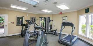 2/2 First Floor Condo in Palmer Ranch Gallery 17
