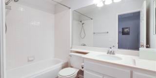 8034 E Snapdragon Gallery 11