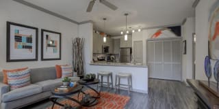 The Emerson Apartments Gallery 38