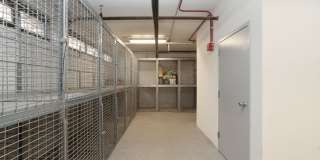 Algonquin Apartments Gallery 5