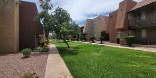 4960 Indian River #467 - 2  Bedrooms , 1 Bathroom, 816 SQFT Gallery 22