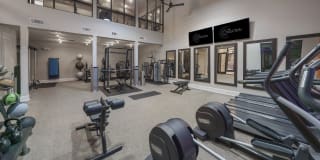 The Collection Gallery 48