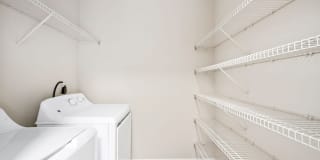 Houston Lake Gallery 8