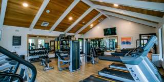 Kielo at Grass Valley Gallery 19