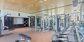 Array La Mesa Gallery 21