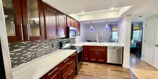 104 Biscayne Avenue, Unit A Gallery 2