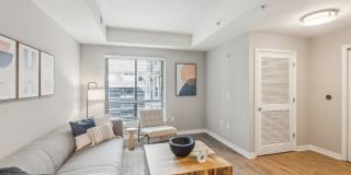 Core Gallery 8