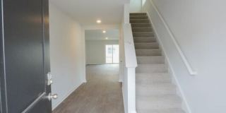 463 Coconut Drive Gallery 4