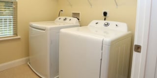 The Springs Gallery 44