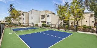 Kensington Kensington Gallery 18