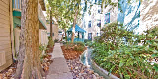 White Water Creek Gallery 20