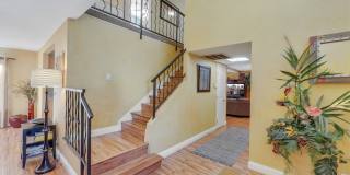 3225 Mountain Spring Road Gallery 18