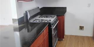 21862 Dracaea Gallery 3