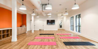 Falls Green Gallery 16