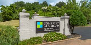 Somerset at Lakeland Gallery 1