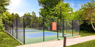 Radius on Grove Radius on Grove Gallery 45