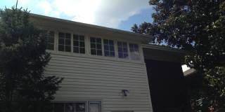 1109 Richmond Road Gallery 4