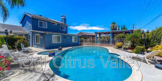15354 Black Shadow Drive Gallery 11