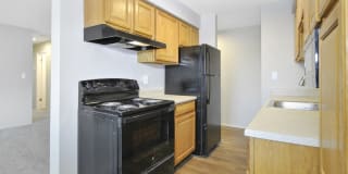 The Maxwell Gallery 18