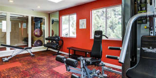 Avery Park Gallery 34