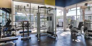 Sunset and Vine Sunset and Vine Gallery 28