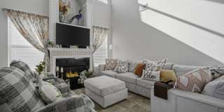 225 Urbano Lane Gallery 8