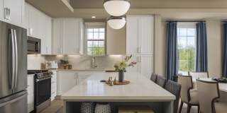 The Linden Townhomes Gallery 2