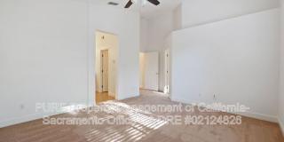 1732 Bamboo Street Gallery 16