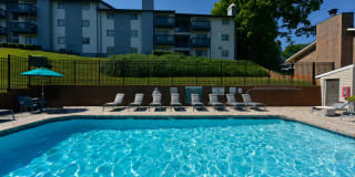 The Everly Gallery 19