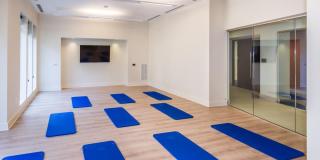 The Reed Gallery 21
