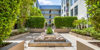 Sunset and Vine Sunset and Vine Gallery 33