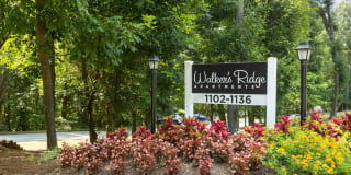 Walker's Ridge Gallery 54