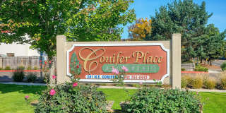 Conifer Place Apartments Gallery 39