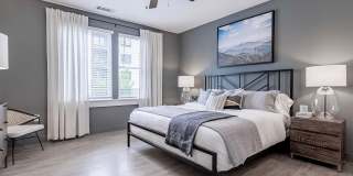 Novel Cary Gallery 11