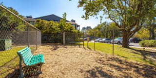 Palmetto Grove Palmetto Grove Gallery 10