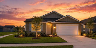 12774 CACAO TREE Trail Gallery 1