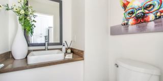 141 Stonesteps Way Gallery 7
