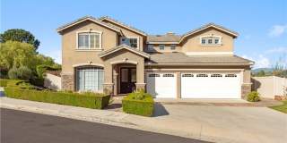 9 Swallows Gallery 1