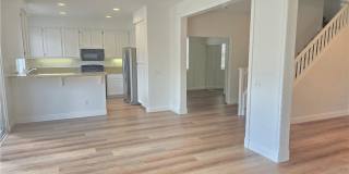 43717 Calabro Gallery 6