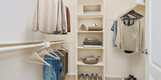 The Orsini Gallery 86