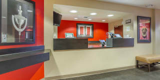 Phoenix - Deer Valley Gallery 12