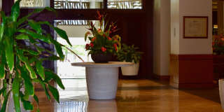 1777 Ala Moana Blvd #1307 - 1 Gallery 18