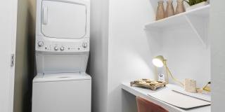 The Lotus Gallery 11