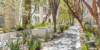 Park Place at San Mateo Gallery 2